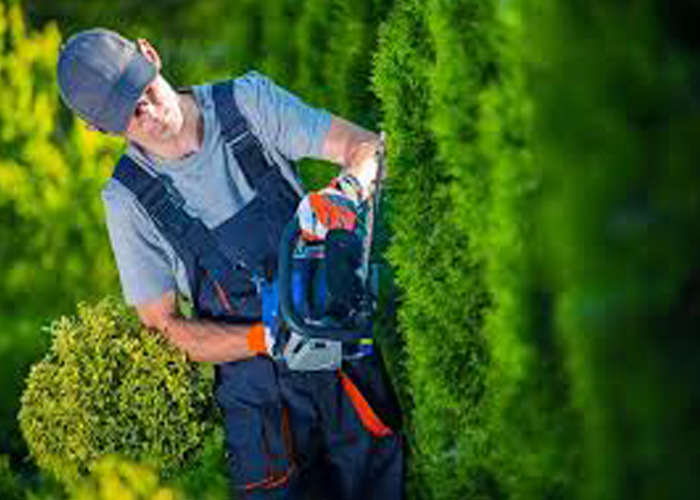 garden maintainance service