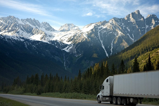 International Moving In UAE
