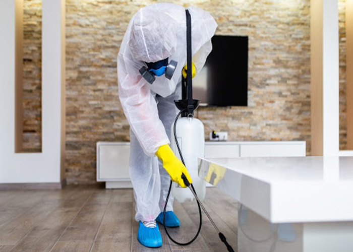 Sanitizationa and Cleaning Sevices