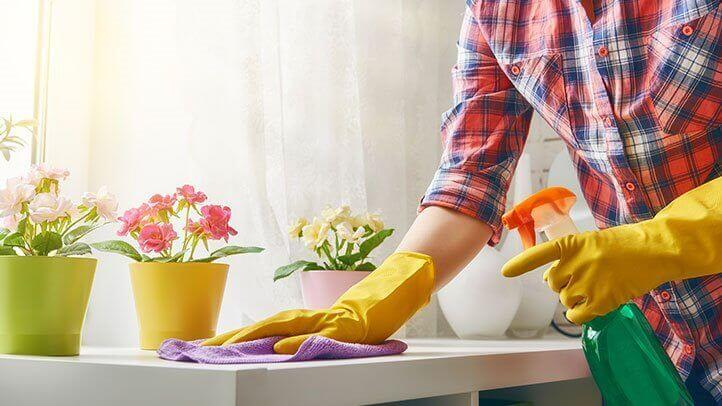 Healthy Home Cleaning Services in Abu Dhabi 2022 |Eagles Trends