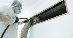 Eagle trends ac deep cleaning services